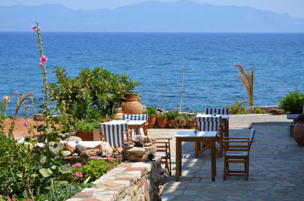 Pelagia Aphrodite Hotel Agia Pelagia  设施 照片